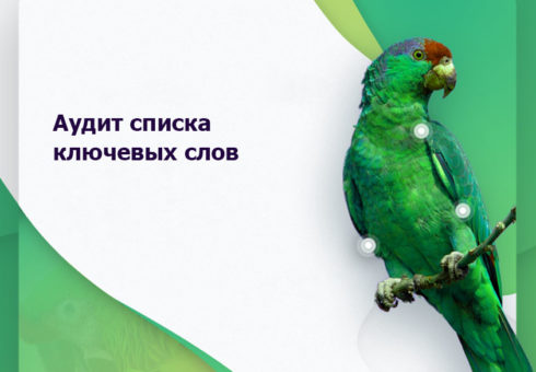 audit-spiska-klyuchevyx-slov